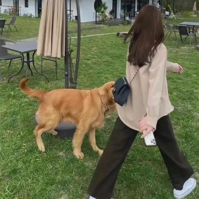 爱情抓马